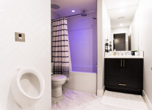 Unique basement bathroom design with toilet and urinal