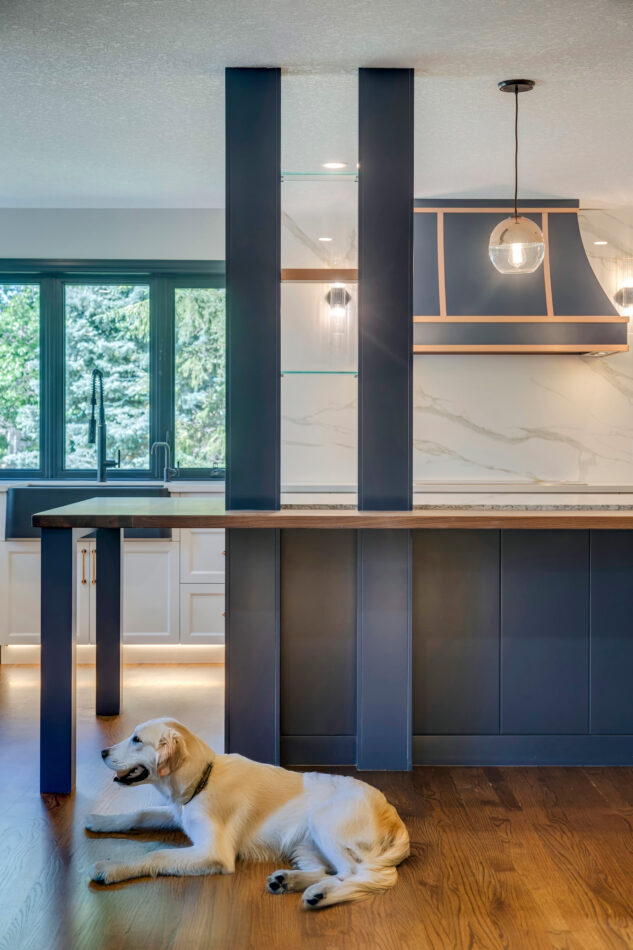 Golden retriever sitting in front of kitchen island