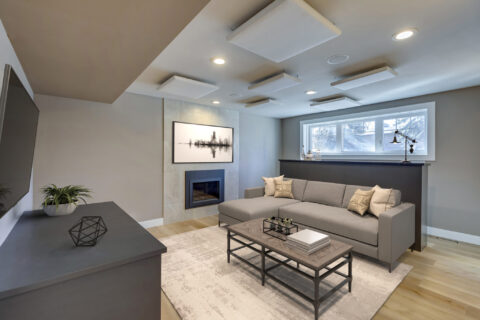 Basement TV room with fireplace