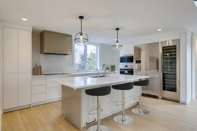 Modern kitchen with flat panel doors