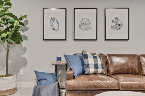 Feature of couch and art in basement development